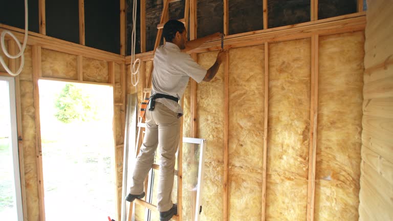 Types of Insulation We Offer in Nixon, PA